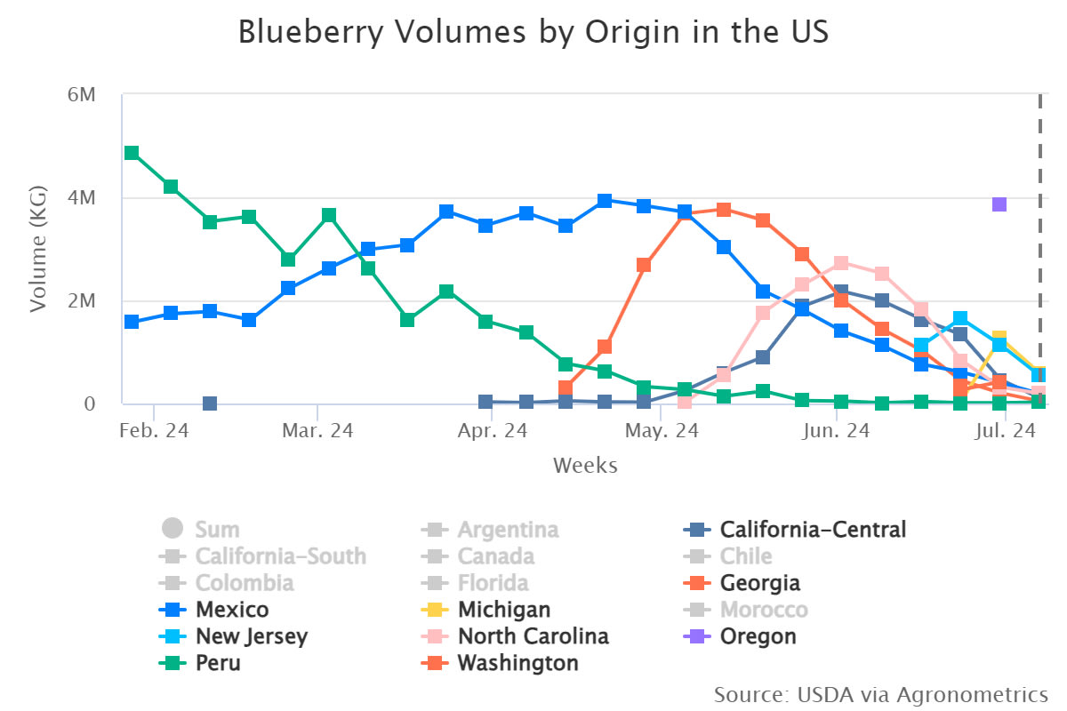 blueberry volumes by ori